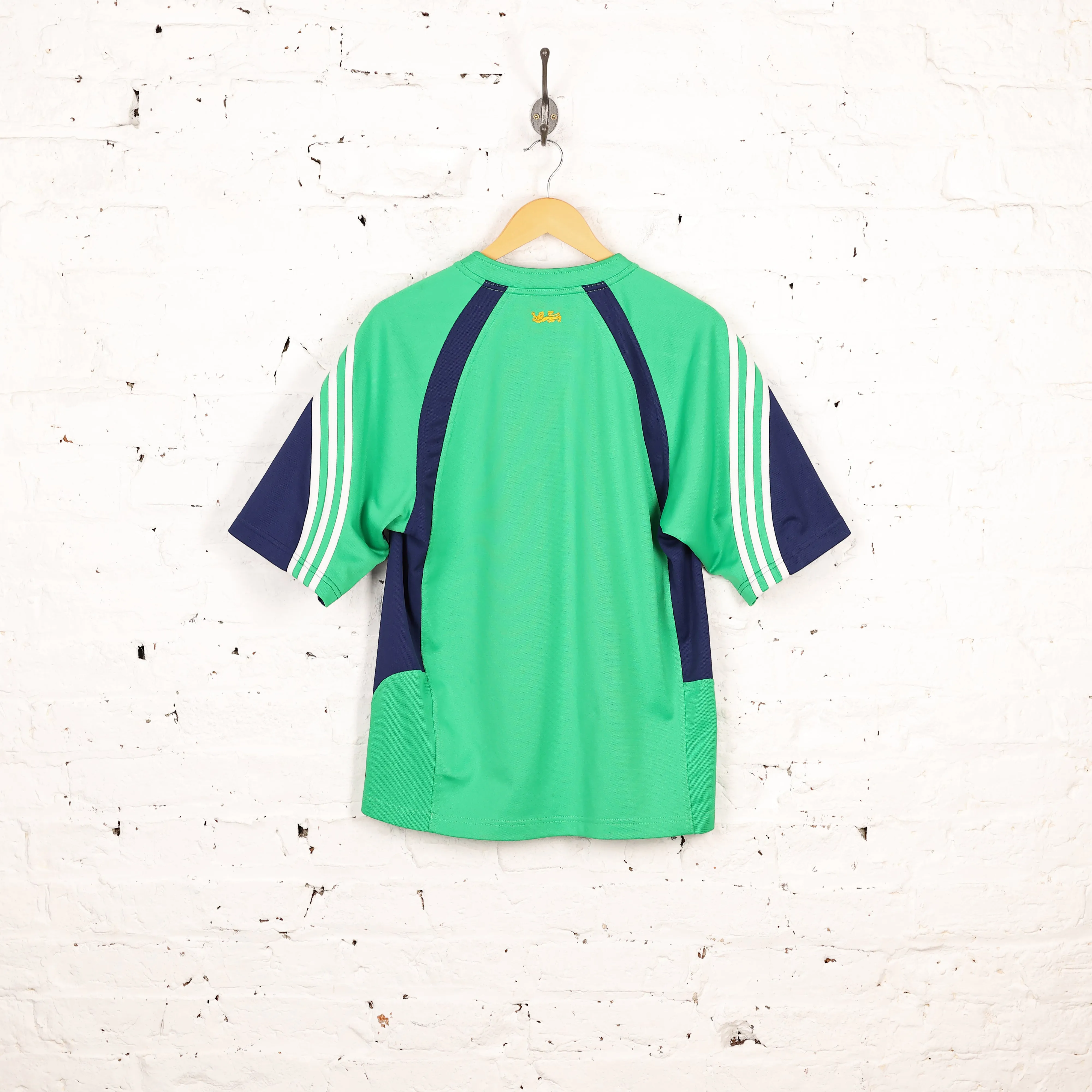 British and Irish Lions 2005 Away Rugby Shirt - Green - S