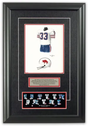 Buffalo Bills 1973