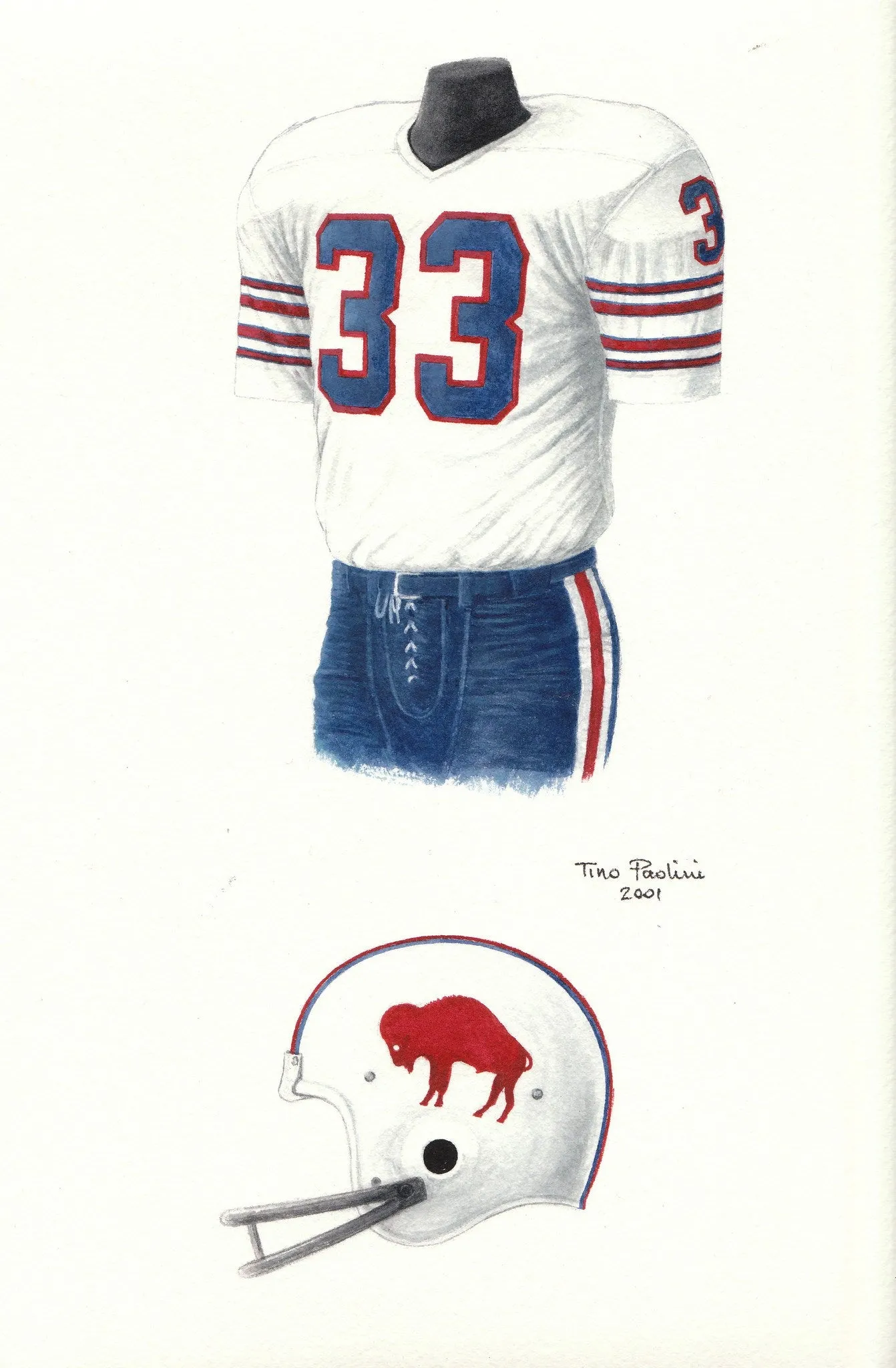 Buffalo Bills 1973