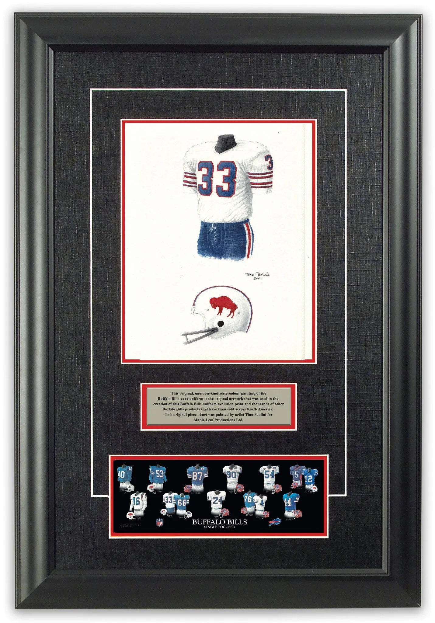 Buffalo Bills 1973