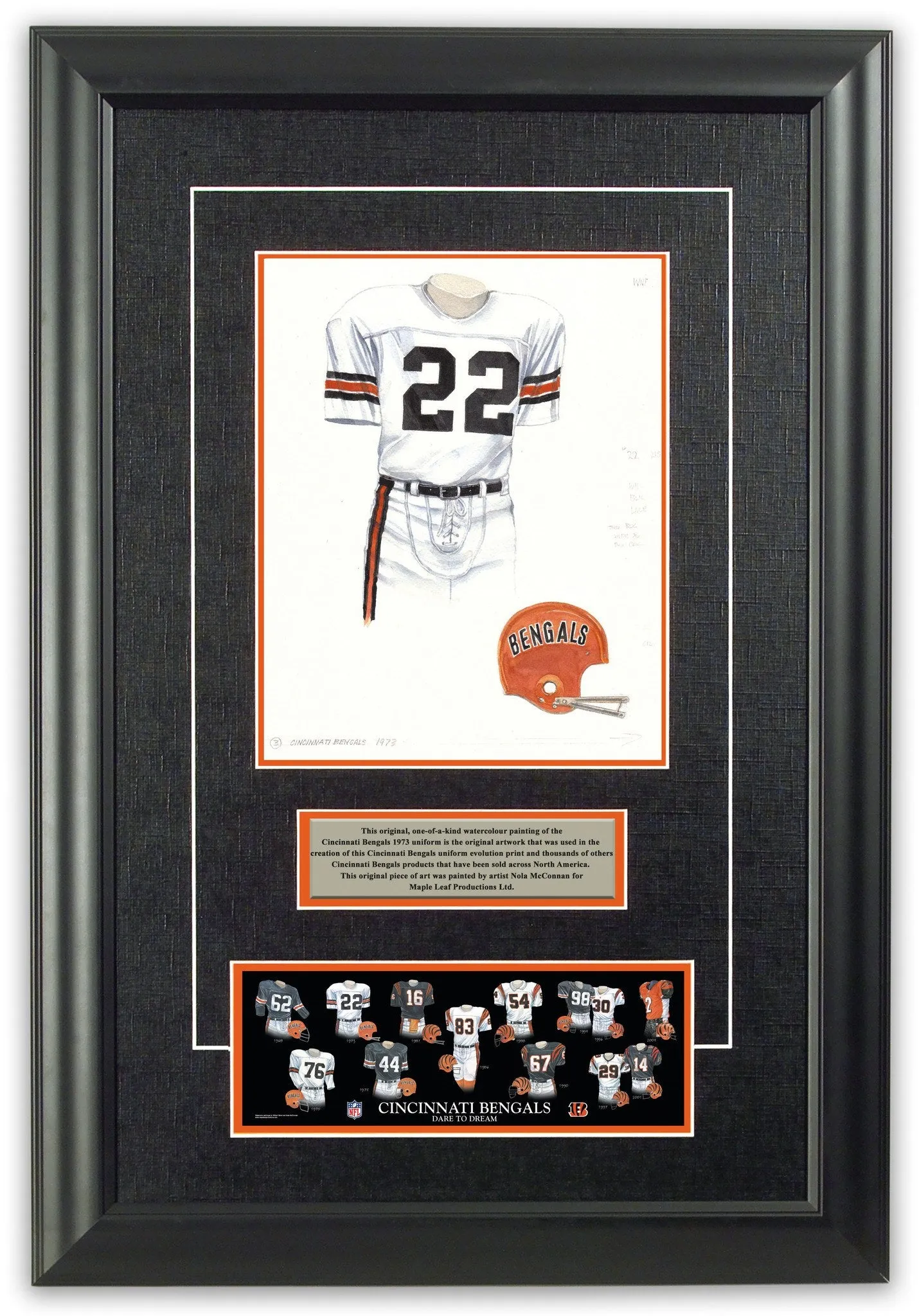 Cincinnati Bengals 1973