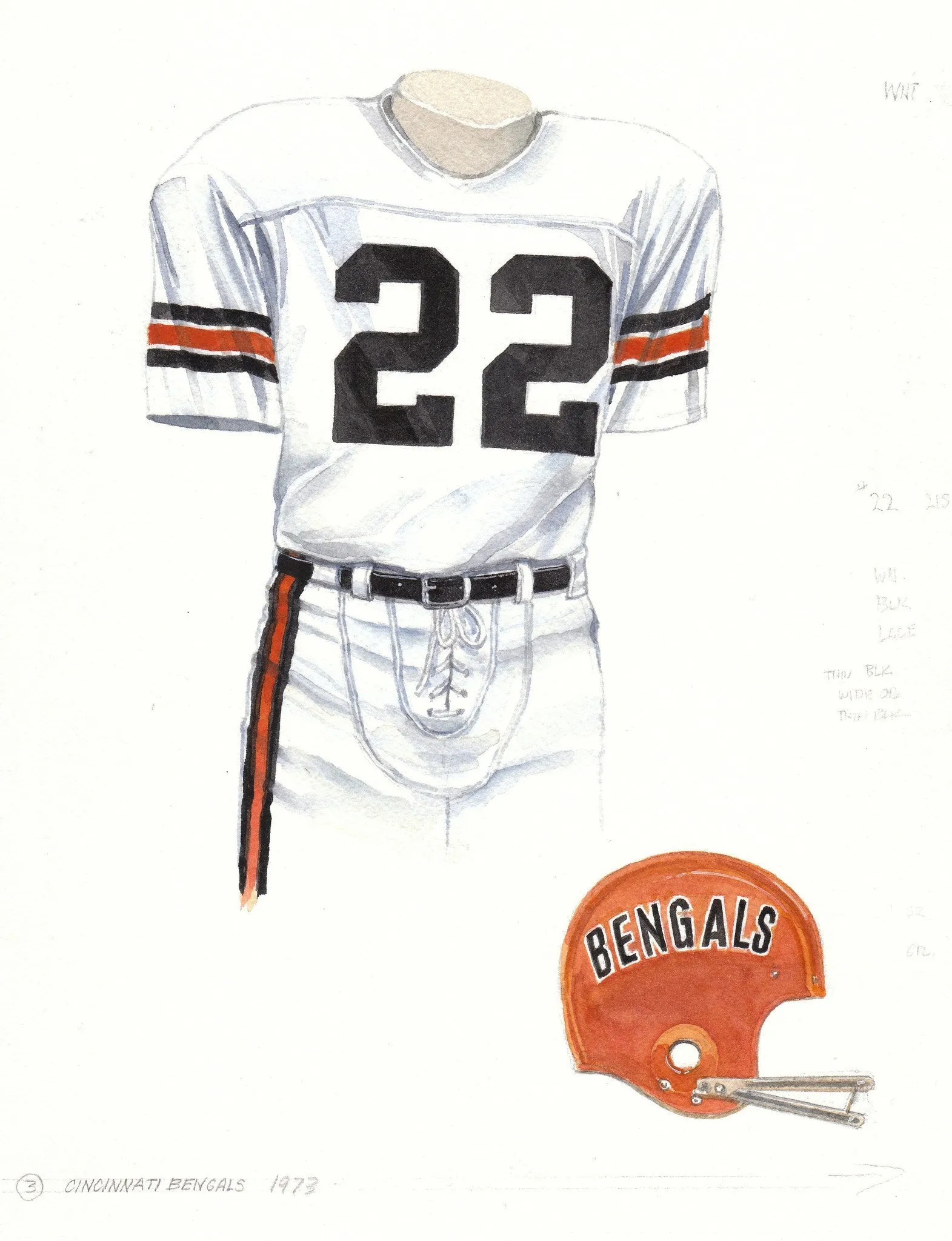 Cincinnati Bengals 1973