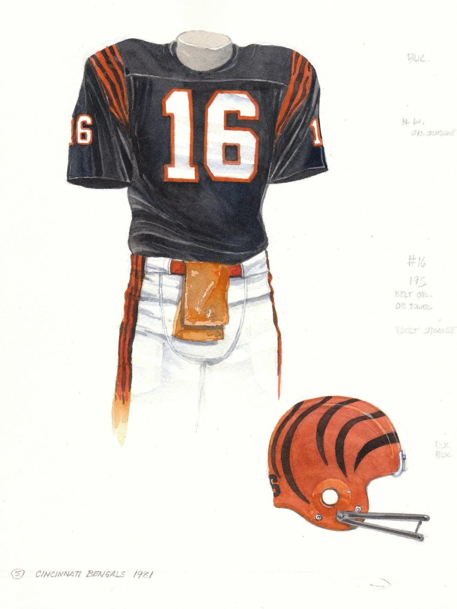Cincinnati Bengals 1981
