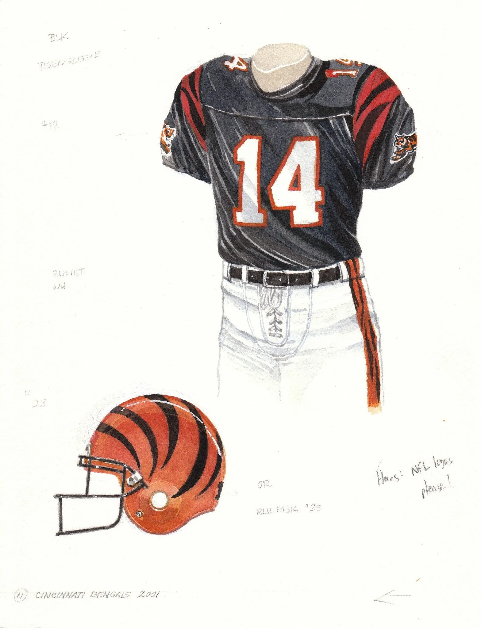 Cincinnati Bengals 2001