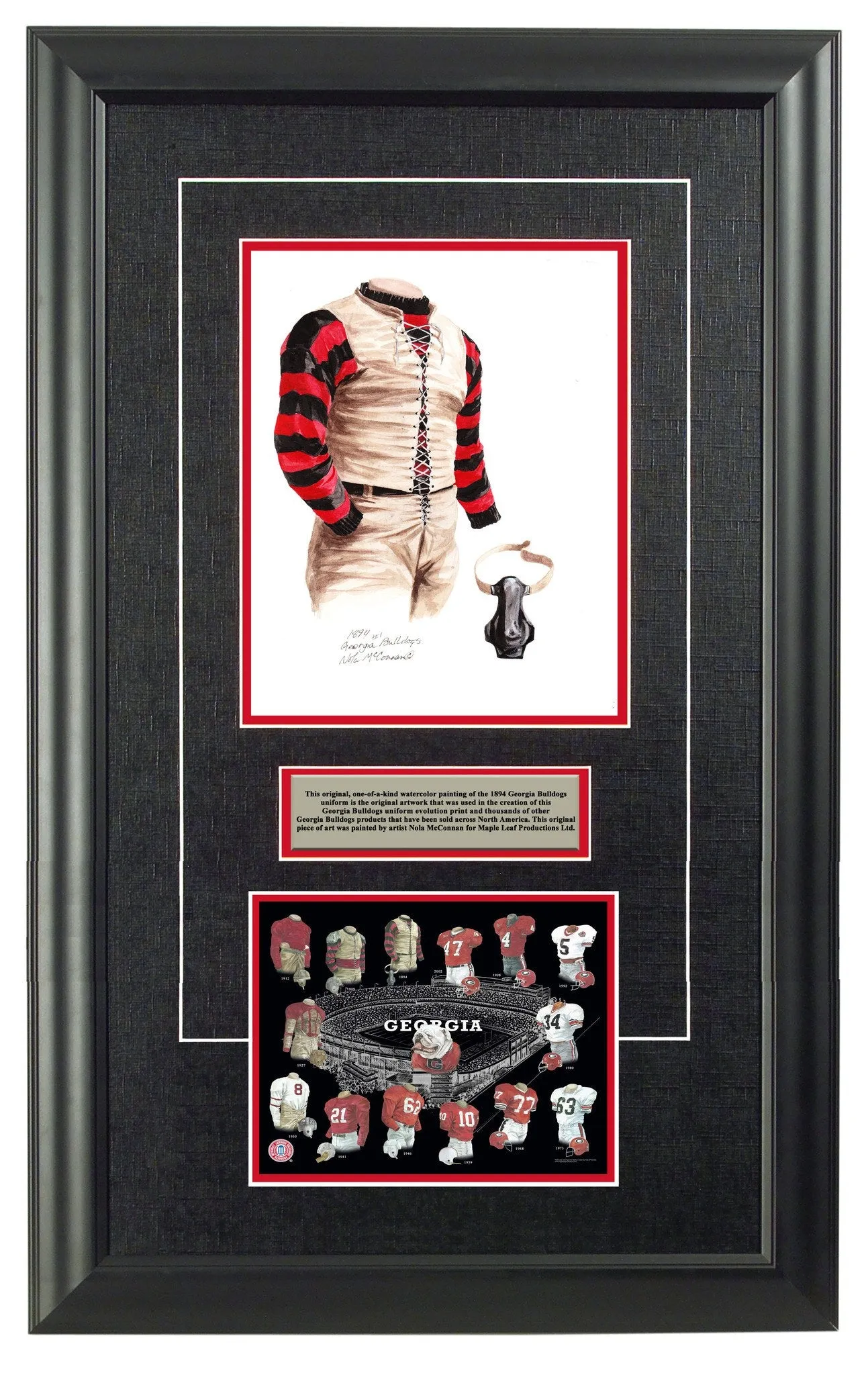 Georgia Bulldogs 1894