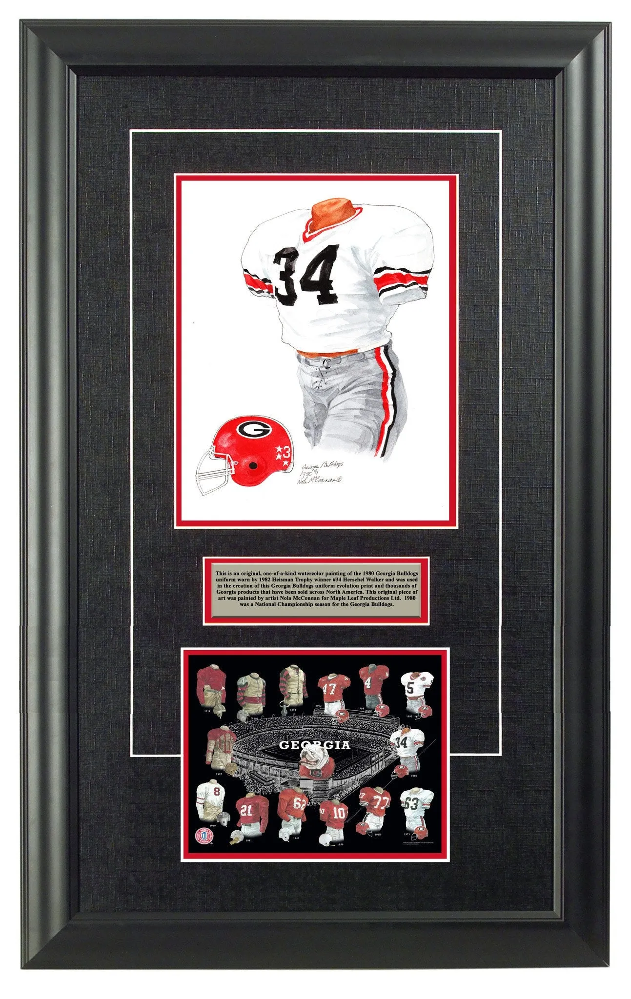 Georgia Bulldogs 1980