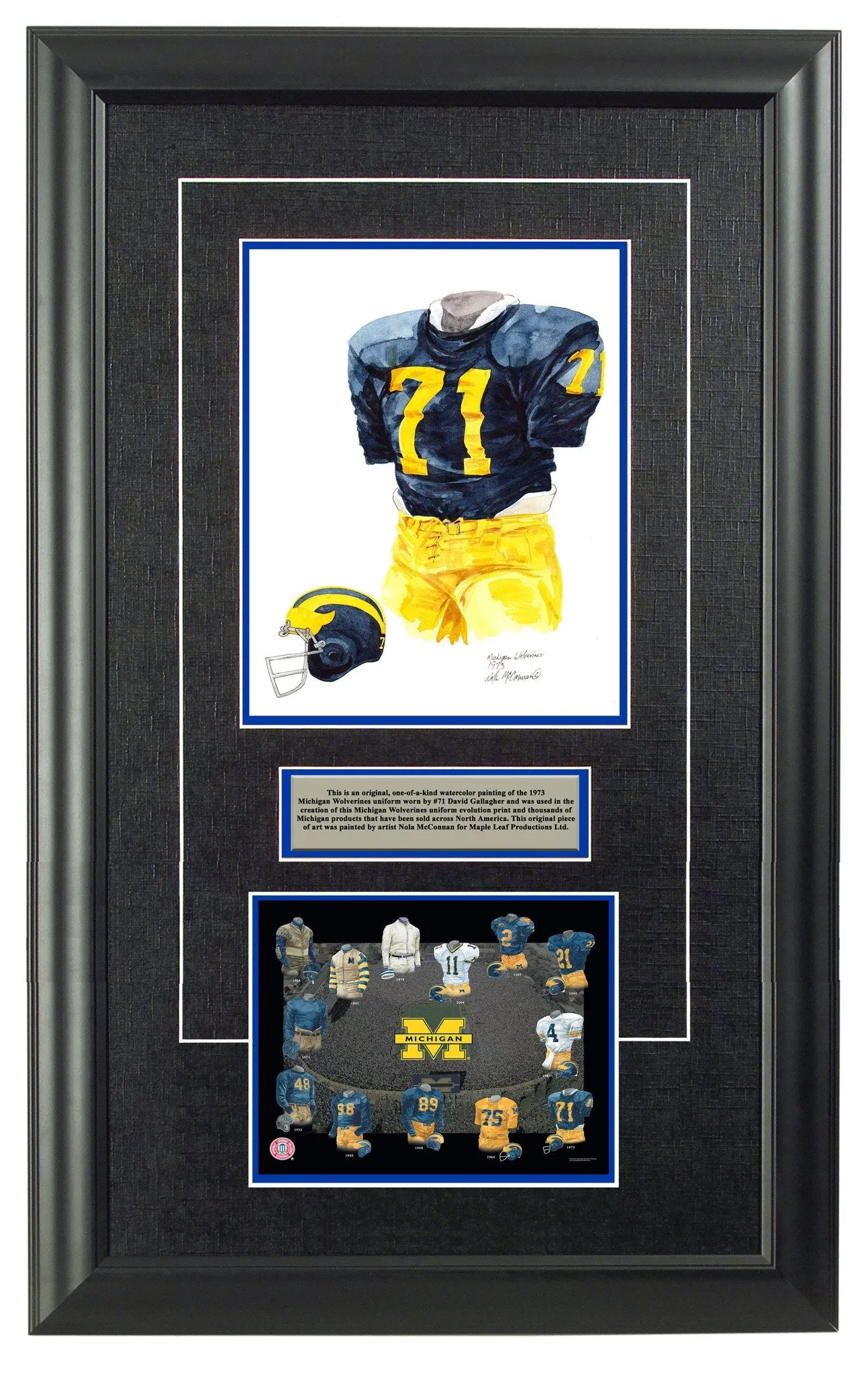 Michigan Wolverines 1973
