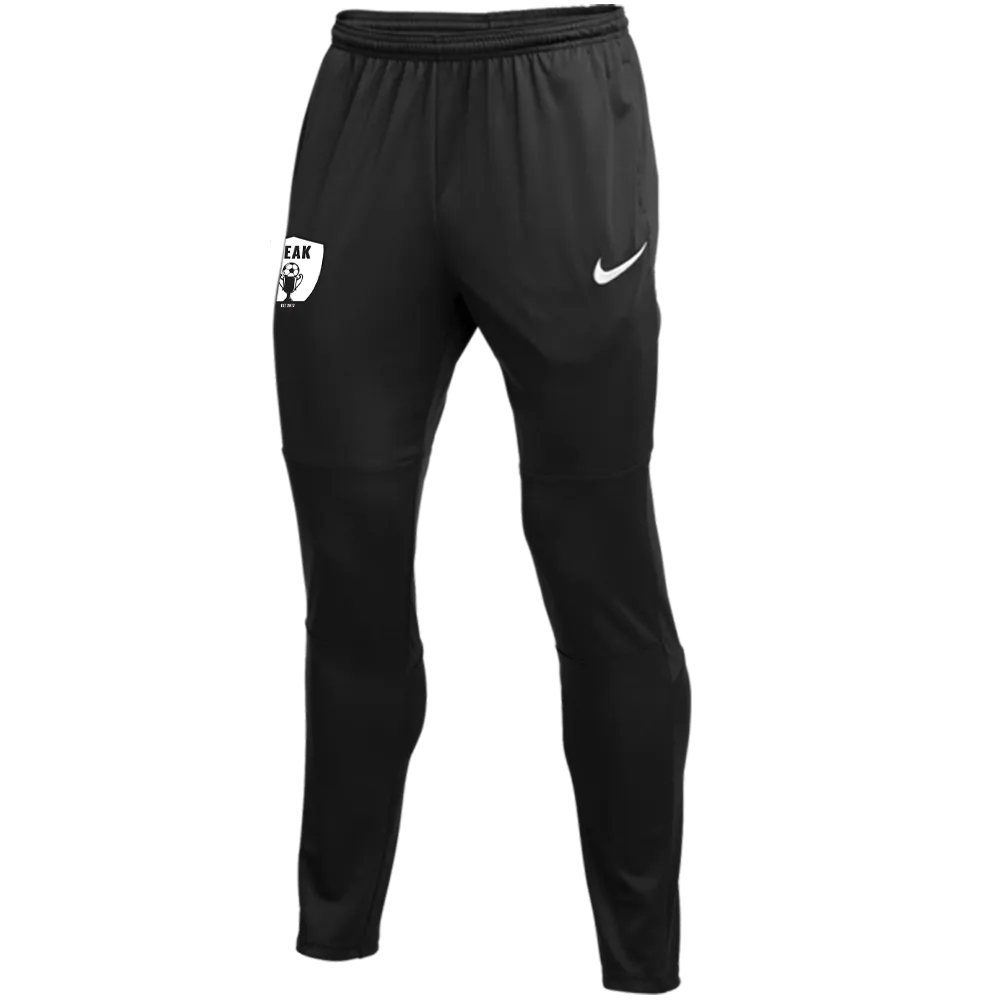 PEAK FOOTBALL ACADEMY Youth Nike Dri-FIT Park 20 Track Pants